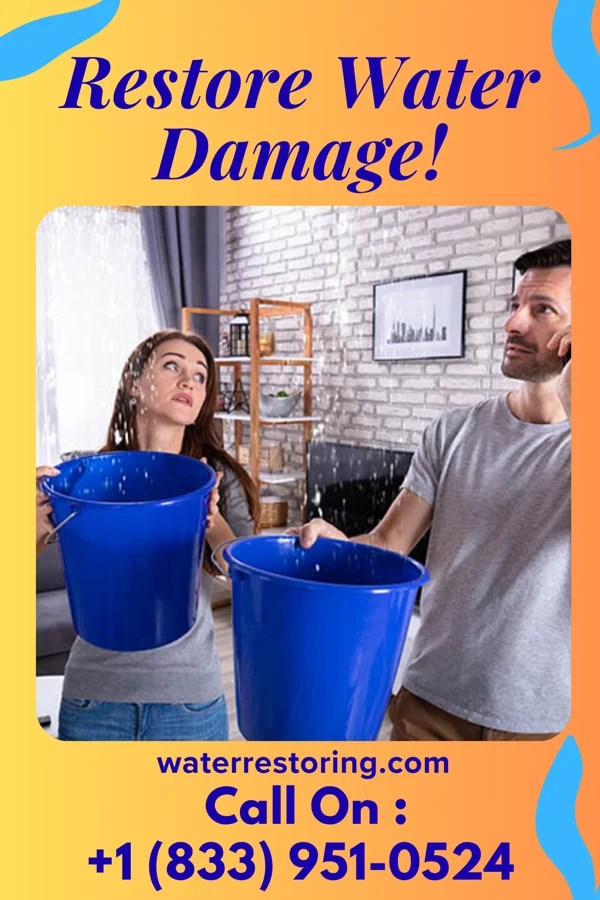 water restoration Reliable Water Removal Experts Gilmore