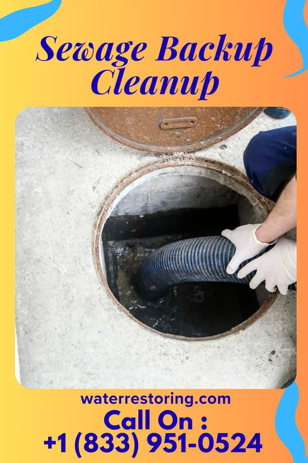 Sewage Backup Cleanup in Gilmore, MD