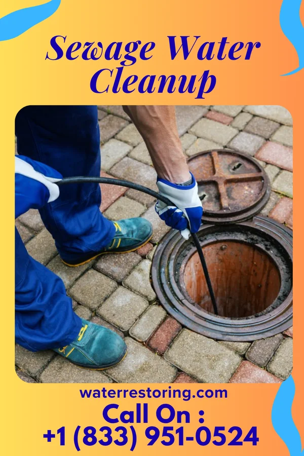 Sewage Water Cleanup in Gilmore, MD