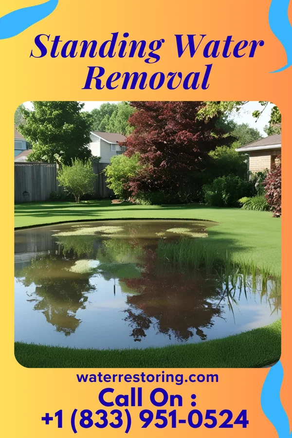 Standing Water Removal in Gilmore, MD